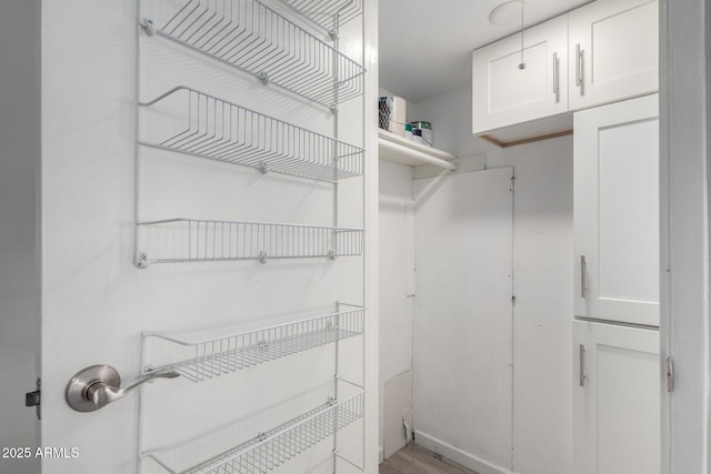 walk in closet featuring wood finished floors