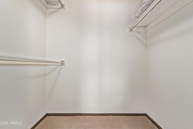 walk in closet featuring light carpet