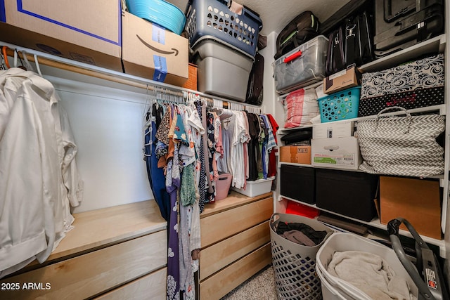 451 S Hawes Rd Unit 53, Mesa, AZ 85208 - view of spacious closet