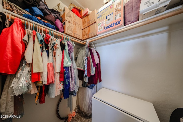 451 S Hawes Rd Unit 53, Mesa, AZ 85208 - spacious closet with carpet flooring