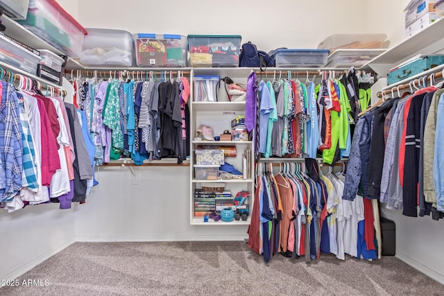 spacious closet with carpet floors