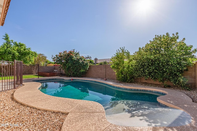 view of swimming pool featuring a fenced backyard and a fenced in pool