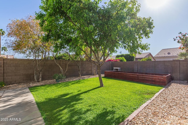 view of yard with a garden and a fenced backyard