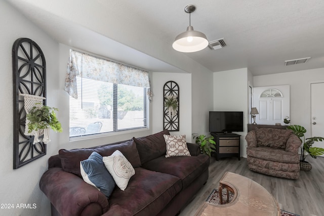 living room featuring hardwood / wood-style flooring