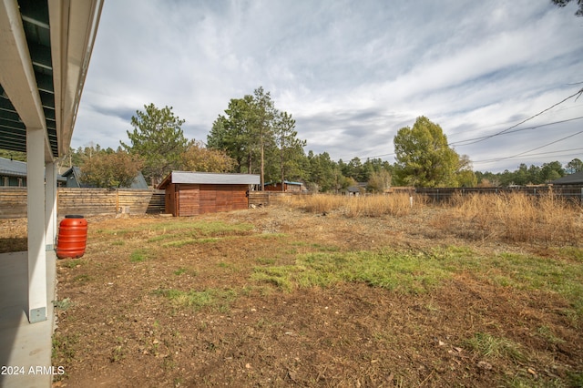 view of yard with a storage unit