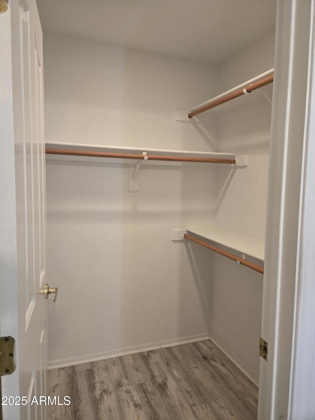 walk in closet with wood finished floors