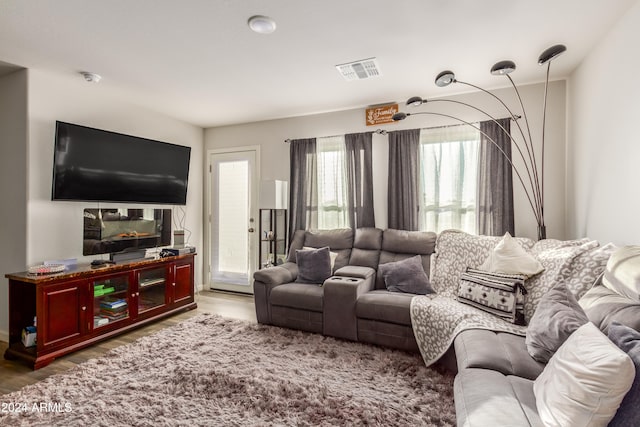 living room featuring hardwood / wood-style flooring