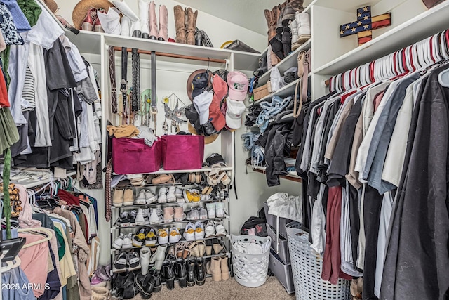 3856 E Encinas Ave, Gilbert, AZ 85234 - walk in closet featuring carpet floors