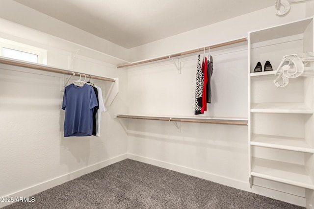 spacious closet with carpet