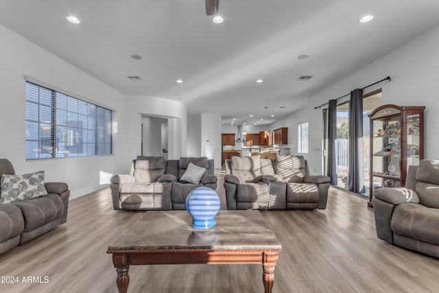 living room featuring light wood-type flooring