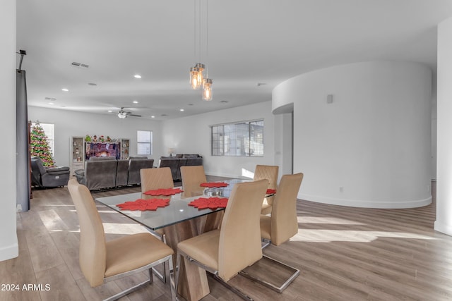 dining room featuring ceiling fan and light wood-type flooring