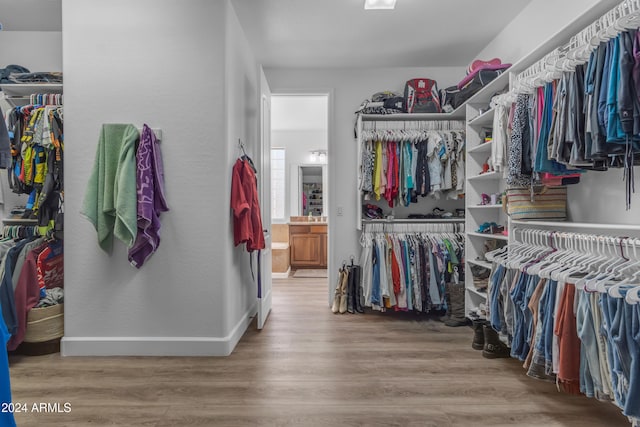 spacious closet featuring light hardwood / wood-style flooring