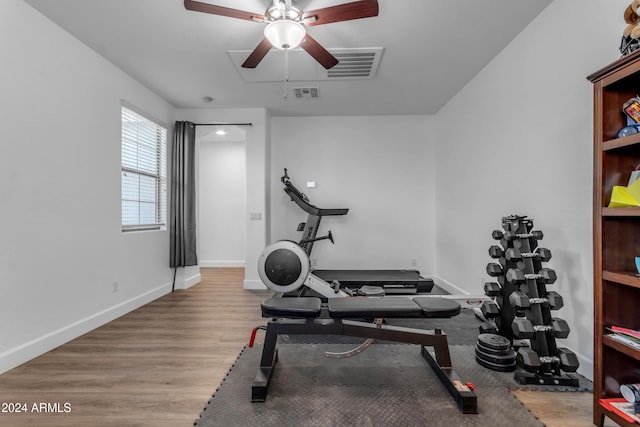 exercise area featuring ceiling fan and light hardwood / wood-style flooring