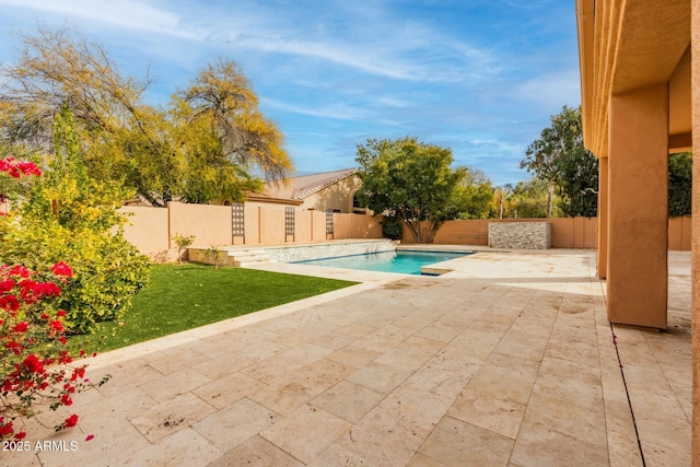 view of pool with a patio area