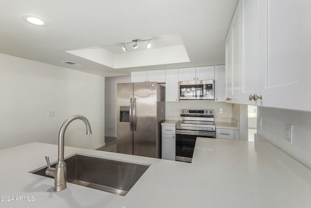 kitchen featuring white cabinetry, stainless steel appliances, sink, and a raised ceiling