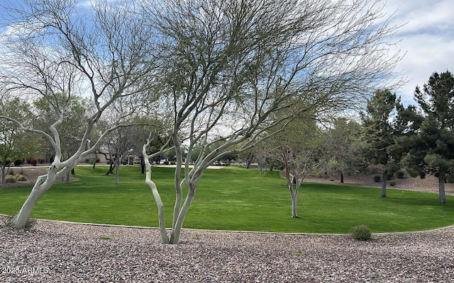 view of property's community featuring a yard