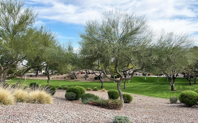 view of home's community featuring a yard