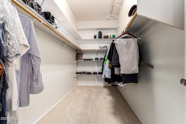 12702 W Dove Wing Way, Peoria, AZ 85383 - walk in closet featuring carpet flooring