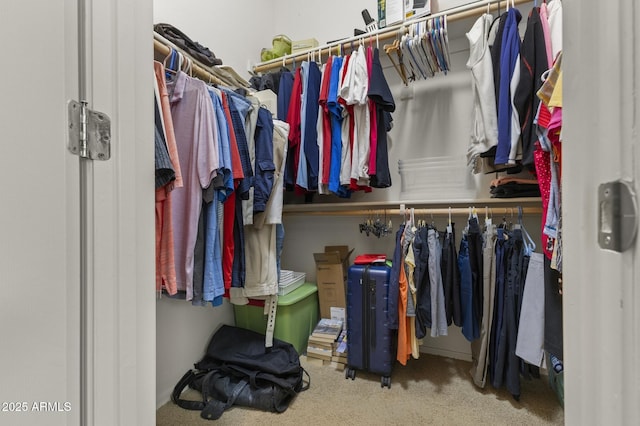 spacious closet with carpet floors