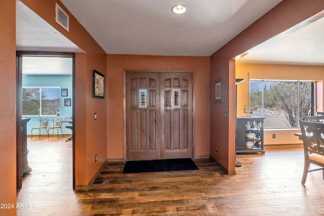 foyer entrance with dark wood-type flooring and a wealth of natural light