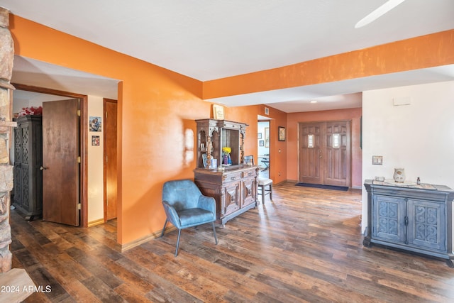 foyer with dark wood-type flooring