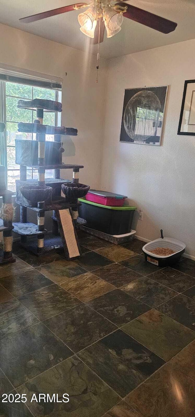 dining area featuring a ceiling fan and stone finish flooring