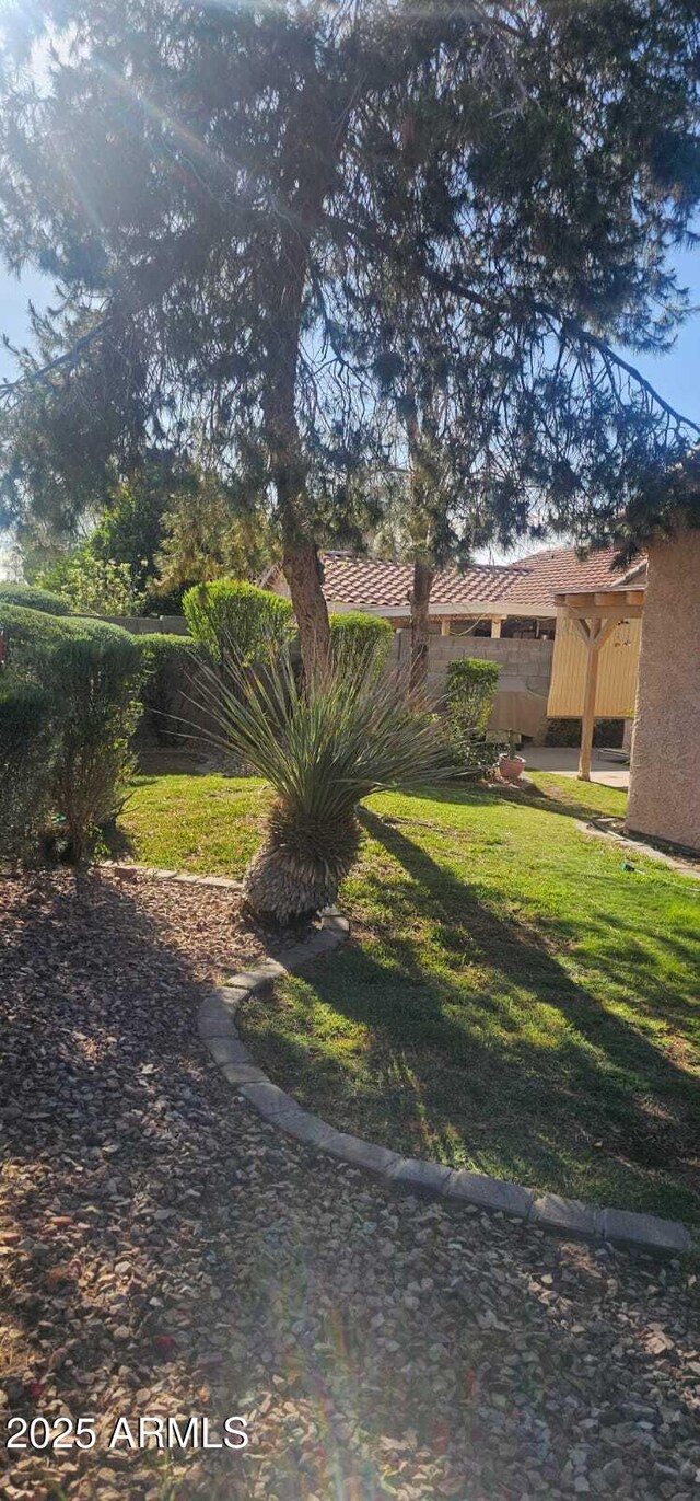 view of yard