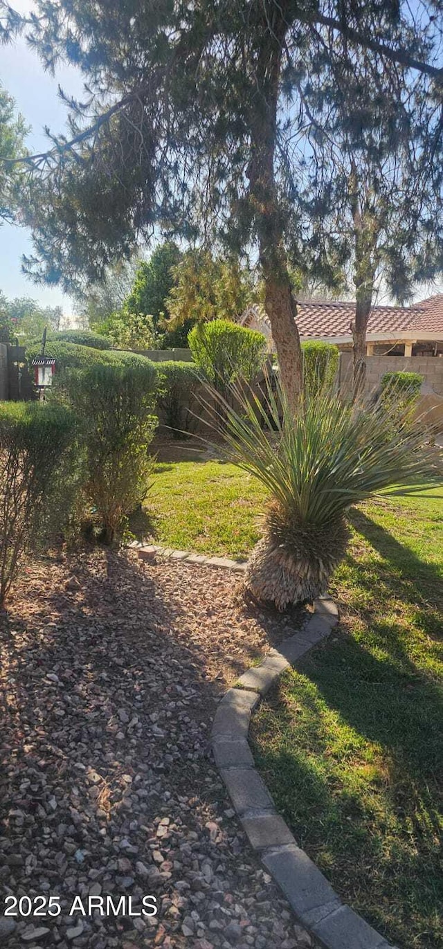 view of yard