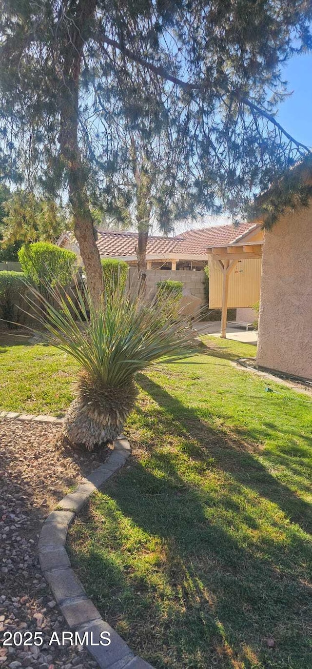 view of yard