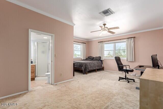 101 E Safford St, Tombstone, AZ 85638 - carpeted bedroom featuring visible vents, ensuite bathroom, crown molding, and baseboards