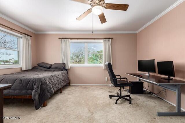101 E Safford St, Tombstone, AZ 85638 - carpeted bedroom with a ceiling fan, ornamental molding, and baseboards