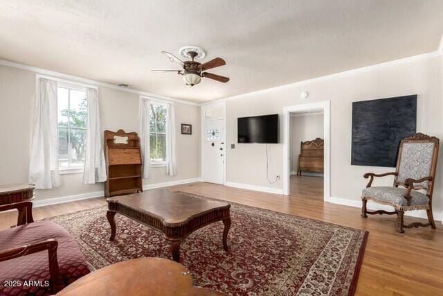 101 E Safford St, Tombstone, AZ 85638 - living room with ornamental molding, ceiling fan, and wood finished floors