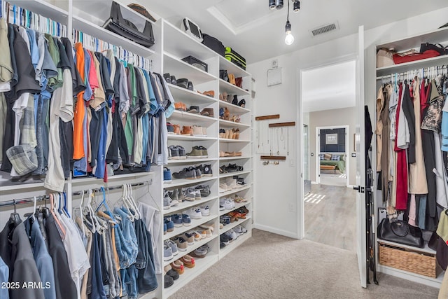 21266 S 213th Pl, Queen Creek, AZ 85142 - walk in closet with carpet floors and attic access