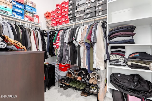 view of spacious closet