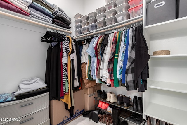 view of spacious closet