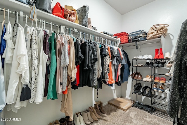 walk in closet with carpet flooring