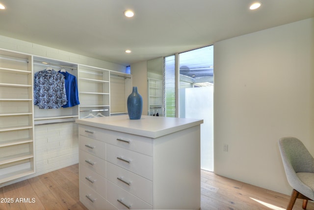 4411 N 40th St N Unit 37, Phoenix, AZ 85018 - spacious closet with light wood-style floors