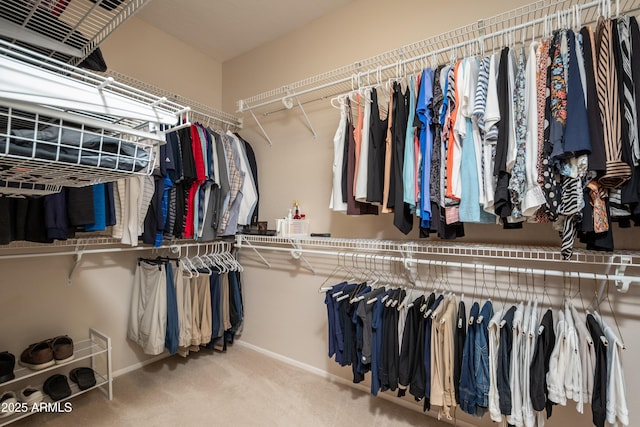 walk in closet with carpet flooring