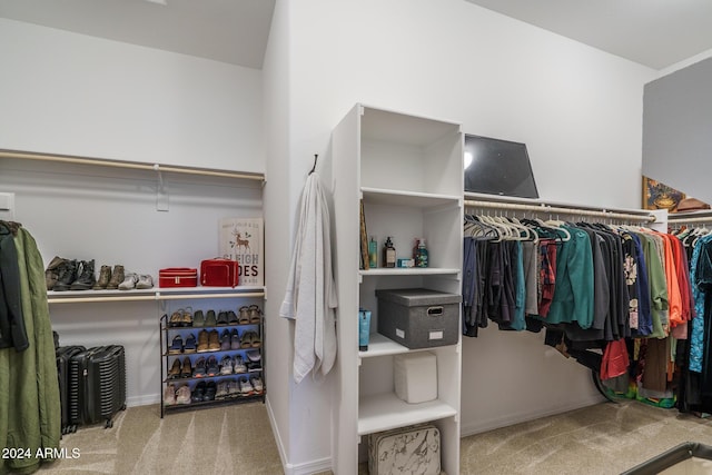 spacious closet featuring carpet flooring