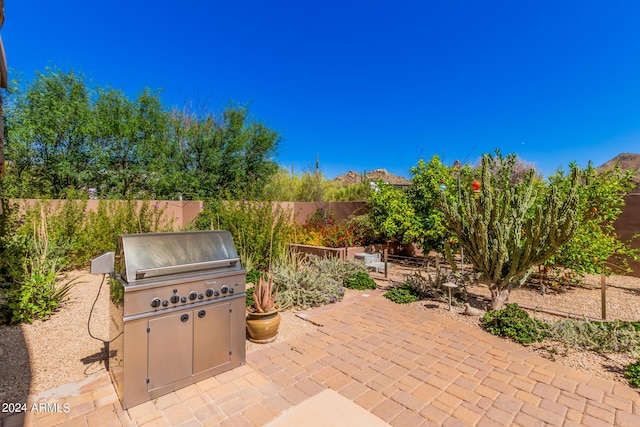 view of patio / terrace with area for grilling