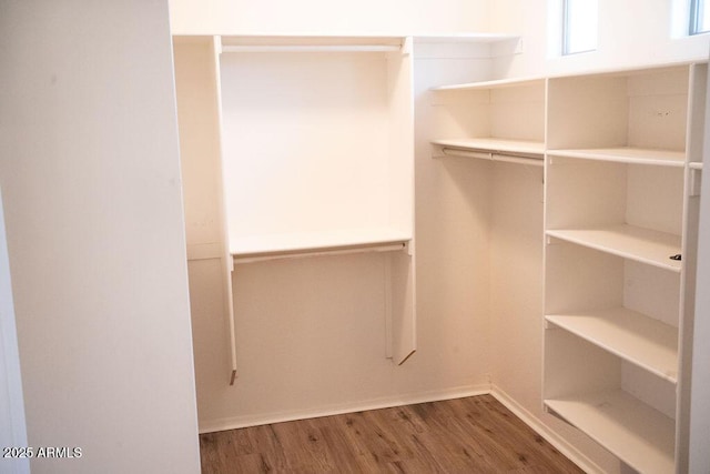 walk in closet with dark wood-type flooring