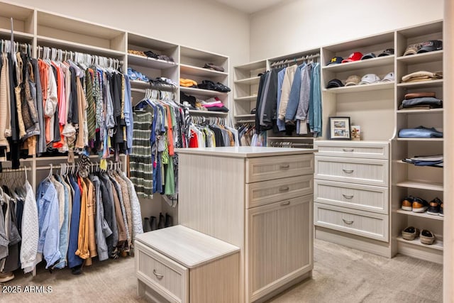 walk in closet with light colored carpet