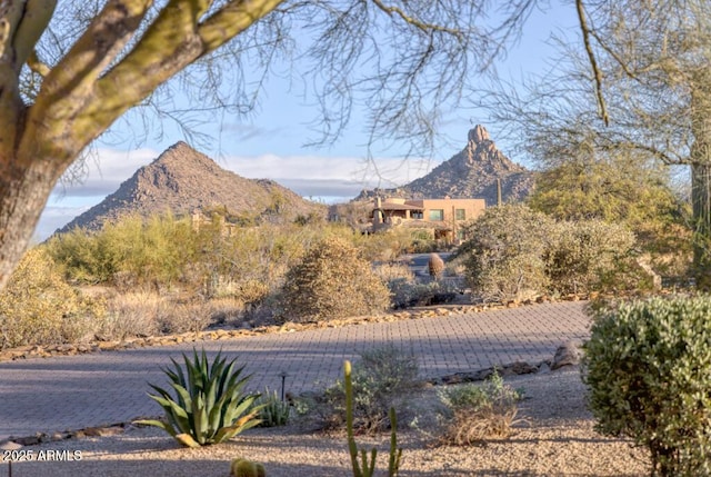 view of mountain feature