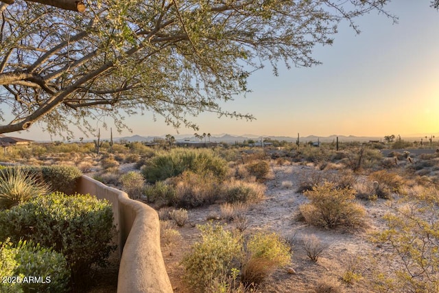 view of nature at dusk