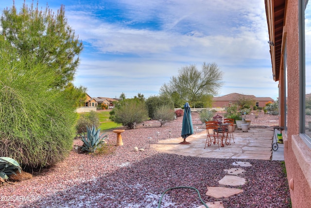 view of yard featuring a patio area