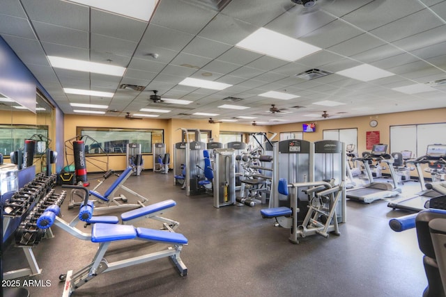 workout area featuring a paneled ceiling, visible vents, and ceiling fan