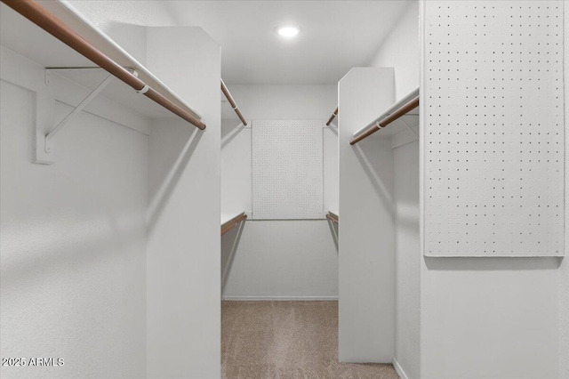 5200 S Lakeshore Dr Unit 120, Tempe, AZ 85283 - spacious closet with carpet