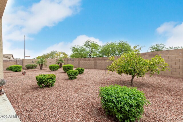 18247 N 168th Cir, Surprise, AZ 85374 - view of fenced backyard