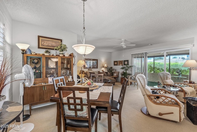 carpeted dining area with a ceiling fan and a textured ceiling