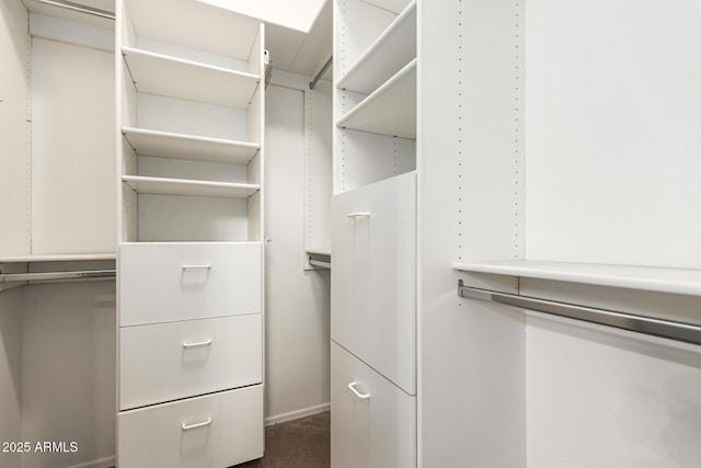 walk in closet with dark colored carpet